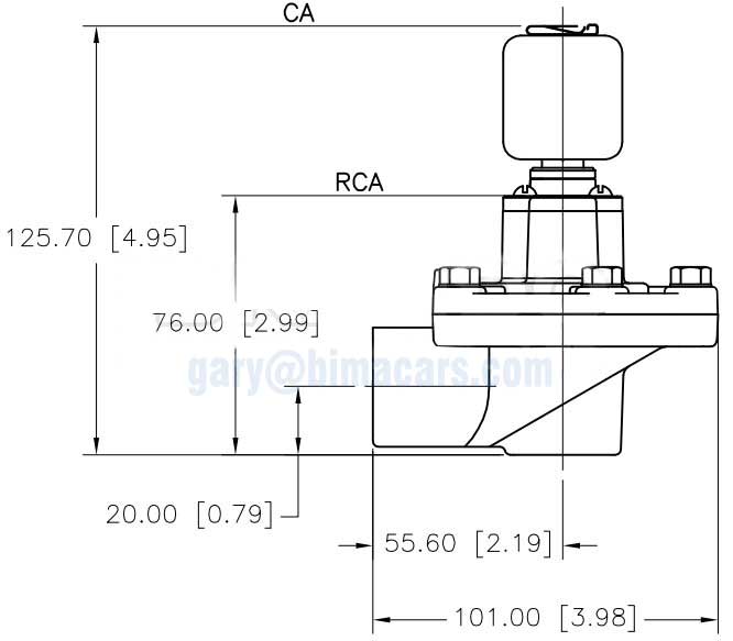 Goyen-RCA20T valve